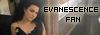 evanescence graphics