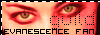 evanescence graphics