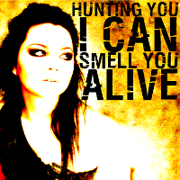 evanescence icons