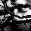 evanescence icons