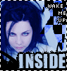 evanescence icons