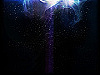 evanescence wallpaper