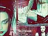 evanescence wallpaper